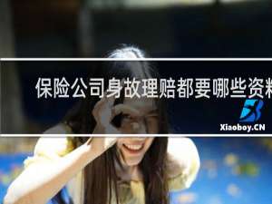 保险公司身故理赔都要哪些资料