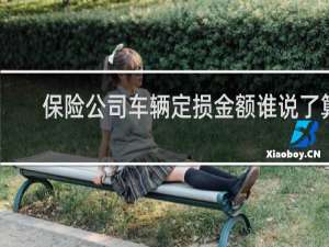 保险公司车辆定损金额谁说了算