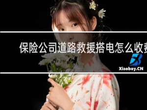 保险公司道路救援搭电怎么收费