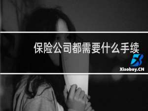 保险公司都需要什么手续