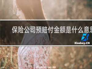 保险公司预赔付金额是什么意思