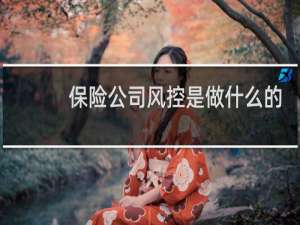 保险公司风控是做什么的