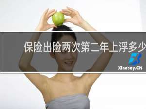 保险出险两次第二年上浮多少