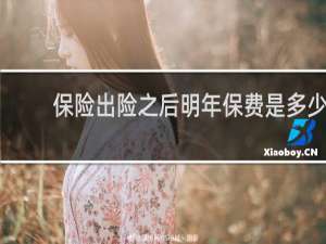 保险出险之后明年保费是多少