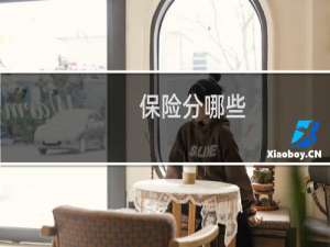 保险分哪些