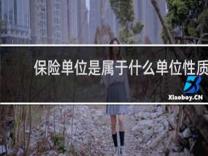 保险单位是属于什么单位性质