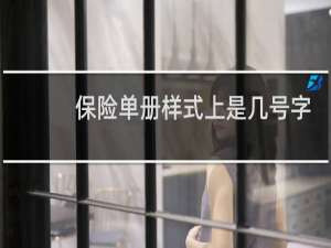 保险单册样式上是几号字
