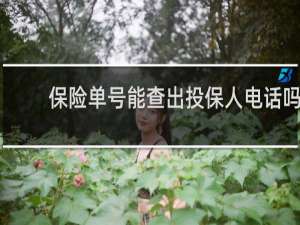 保险单号能查出投保人电话吗