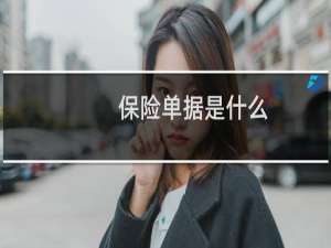 保险单据是什么