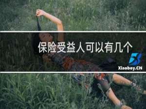 保险受益人可以有几个