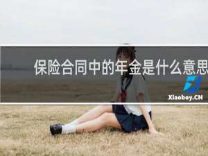 保险合同中的年金是什么意思