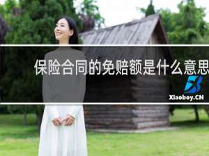 保险合同的免赔额是什么意思