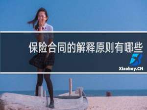 保险合同的解释原则有哪些