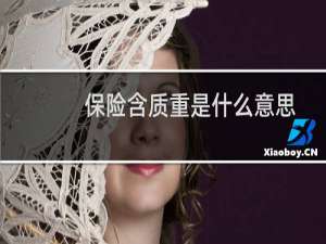 保险含质重是什么意思