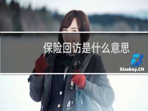 保险回访是什么意思