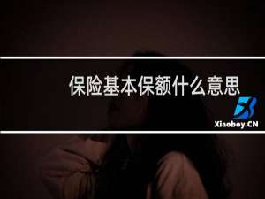 保险基本保额什么意思