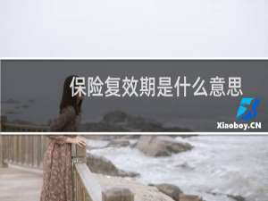保险复效期是什么意思