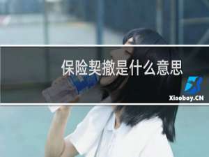 保险契撤是什么意思