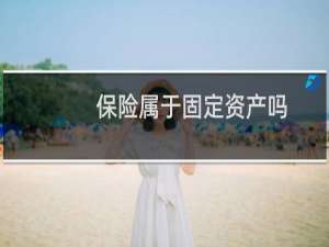 保险属于固定资产吗