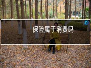 保险属于消费吗