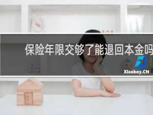 保险年限交够了能退回本金吗