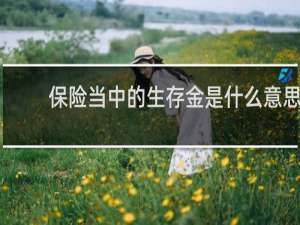 保险当中的生存金是什么意思
