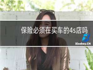 保险必须在买车的4s店吗