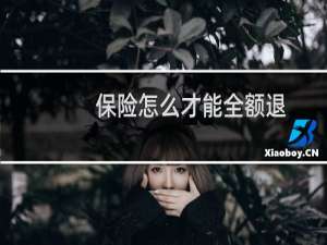 保险怎么才能全额退