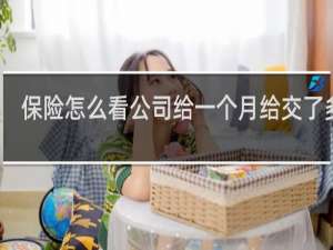 保险怎么看公司给一个月给交了多少
