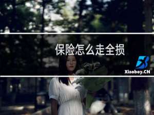 保险怎么走全损