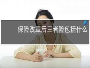 保险改革后三者险包括什么