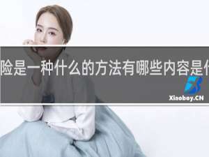 保险是一种什么的方法有哪些内容是什么意思