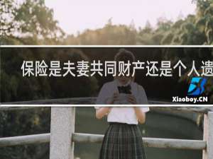 保险是夫妻共同财产还是个人遗产