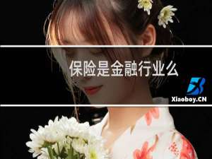 保险是金融行业么