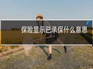 保险显示已承保什么意思