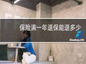 保险满一年退保能退多少