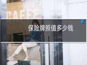 保险牌照值多少钱