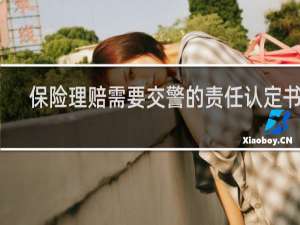 保险理赔需要交警的责任认定书吗