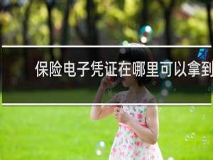保险电子凭证在哪里可以拿到