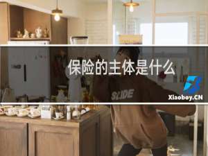 保险的主体是什么
