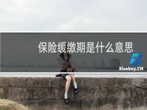 保险缓缴期是什么意思