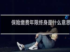 保险缴费年限终身是什么意思