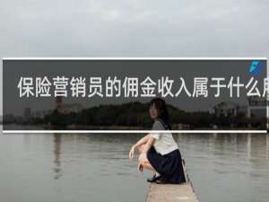 保险营销员的佣金收入属于什么所得