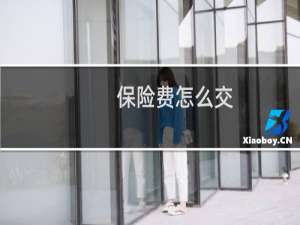 保险费怎么交