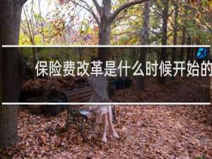 保险费改革是什么时候开始的