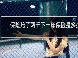 保险赔了两千下一年保险是多少
