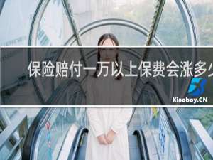 保险赔付一万以上保费会涨多少