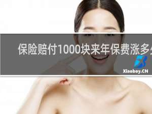保险赔付1000块来年保费涨多少