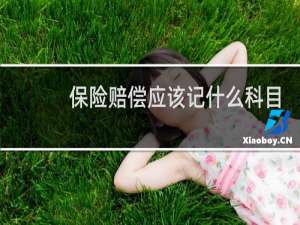 保险赔偿应该记什么科目