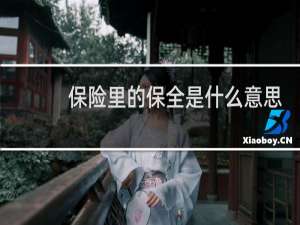 保险里的保全是什么意思